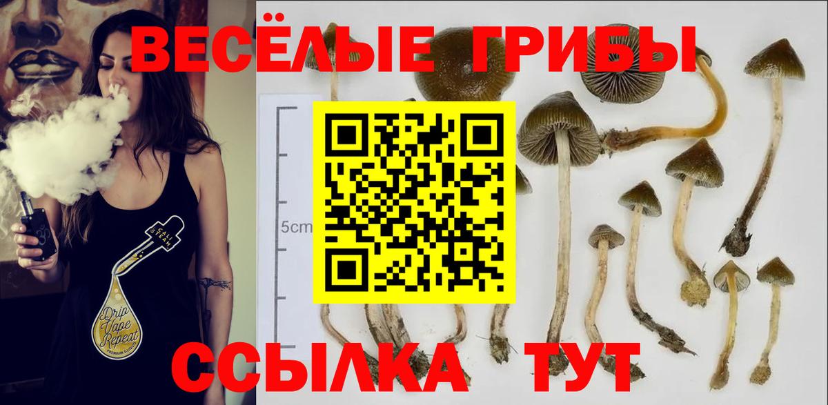 Урай  Галлюциногенные грибы ЛСД  Вход с VPN 