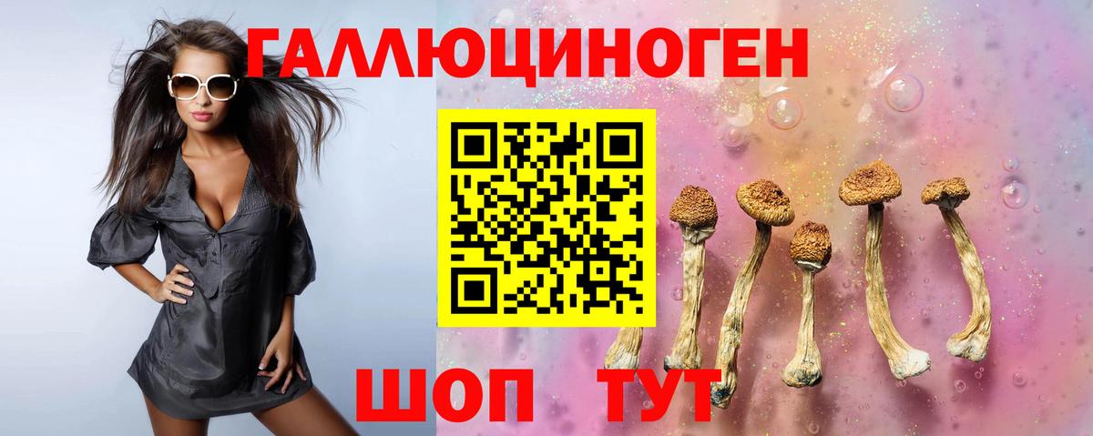 Псилоцибиновые грибы мицелий Урай